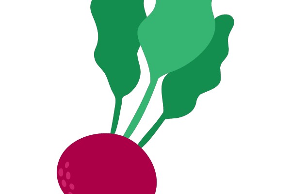 Vibrant Radish with Green Leaves