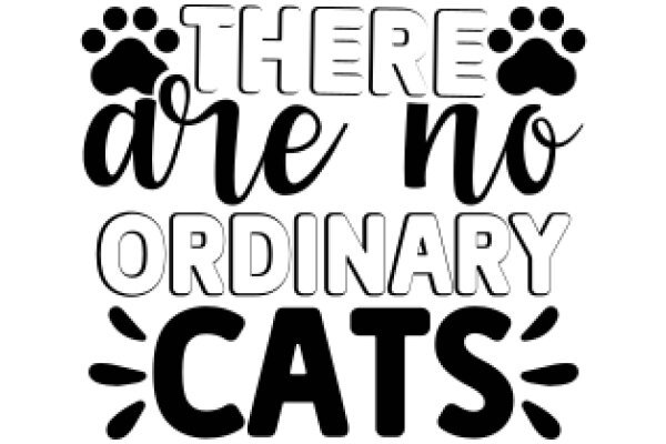 There Are No Ordinary Cats