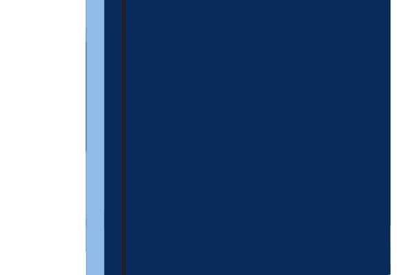 Tampa Bay Rays Logo