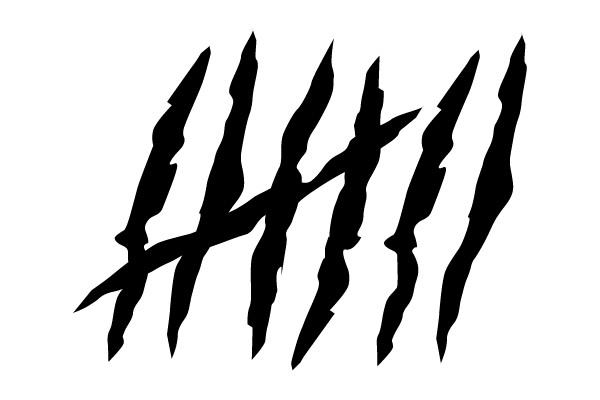 Black Cracked Lines