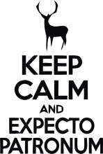 Keep Calm and Expect Patronum: A Playful Take on the Harry Potter Series