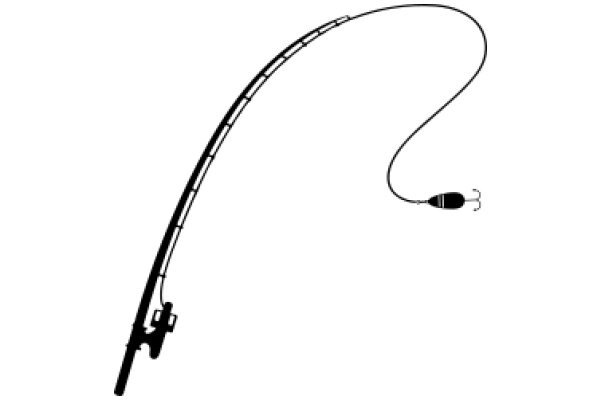 A Fishing Pole and Lure in