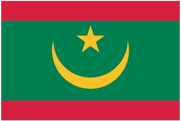 Vibrant Crescent and Star Flag with Red and Green Borders