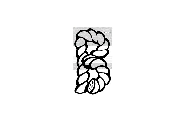 Floral Pattern with Circular Motif