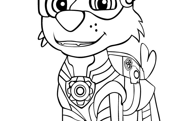 Paw Patrol Pup in Action Pose