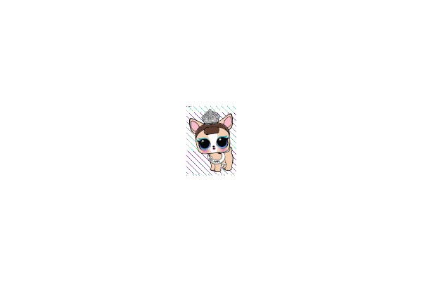 Chic Chihuahua Queen