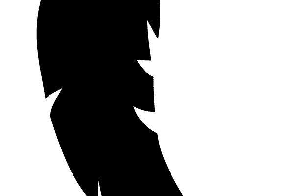 Black Bird Silhouette