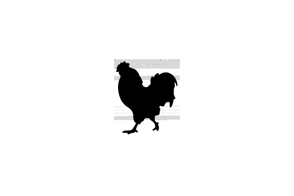 Silhouette of a Rooster