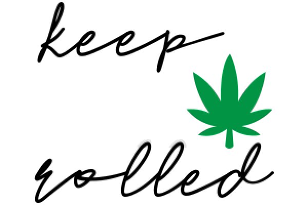 Keep Rolled: A Graphic Design Project