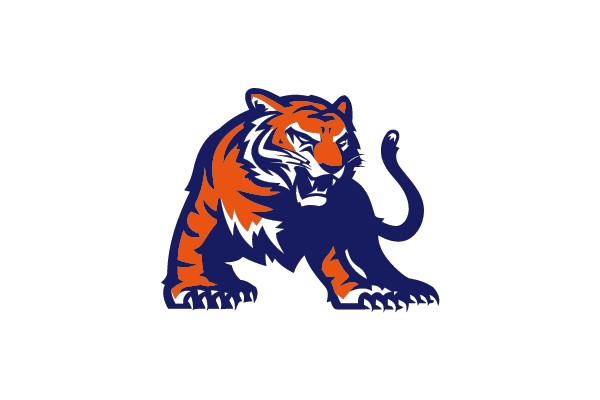 Raging Tiger: A Study in Contrast