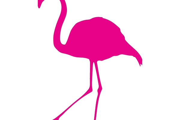 Pink Flamingo Silhouette on White Background