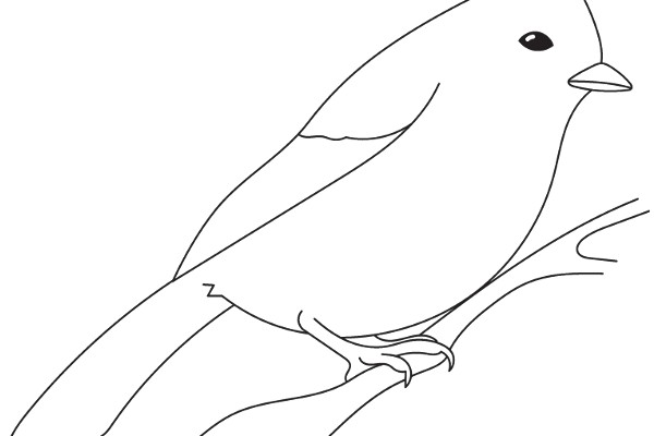 A Simple Line Drawing of a Bird Perched on a Branch