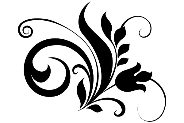 Ornamental Flourish: A Classic Decorative Frame