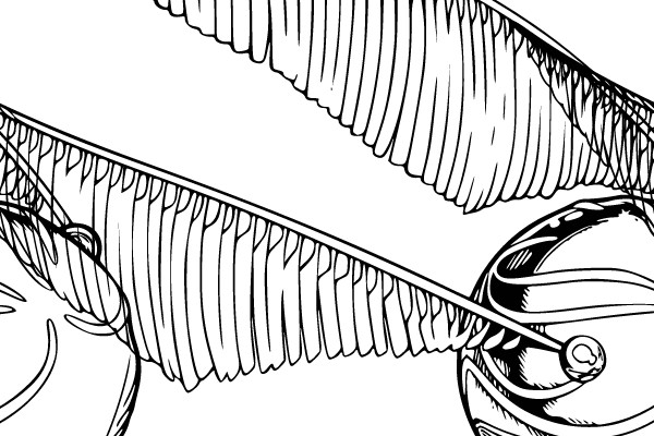 Quidditch Golden Snitch and Broomstick