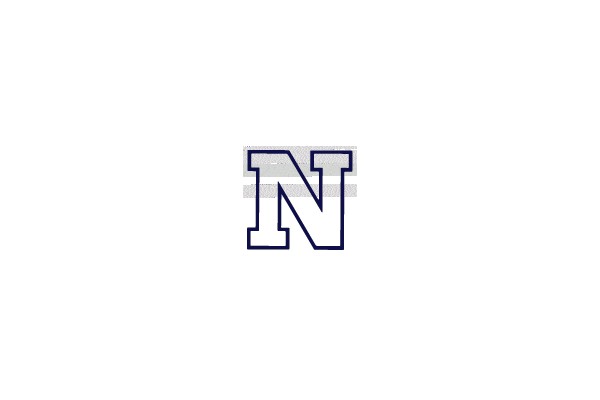 Large Capital Letter N