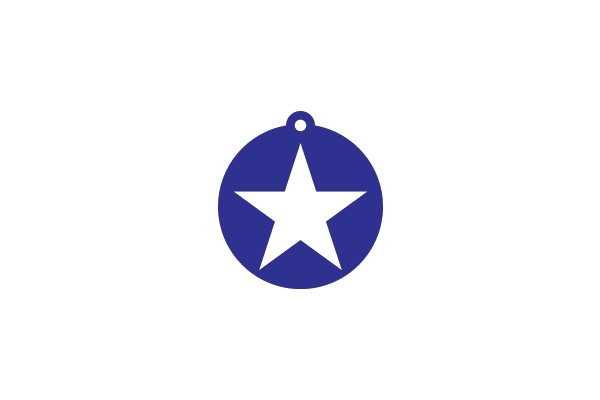 A Blue Star-Shaped Tag with a Hole at the Top