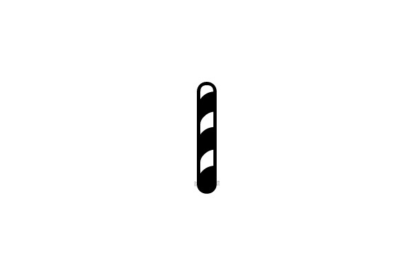 Braided Hair Icon