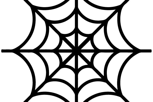 Symmetrical Spider Web Design