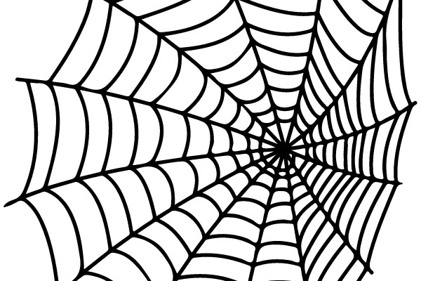 Spider Web