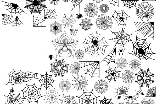 Web of Intrigue: A Diverse Collection of Spider Web Patterns