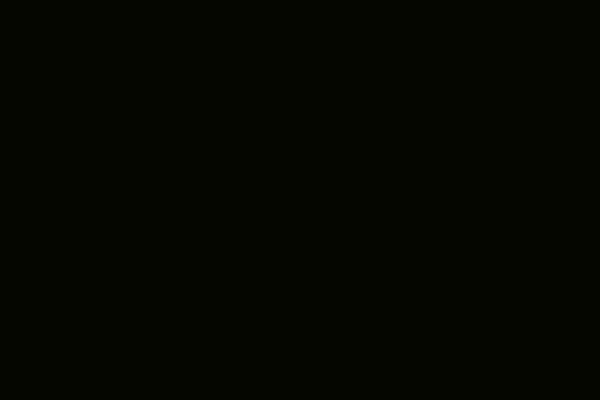 Abstract Black Shape on White Background