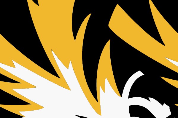 Tiger Head Silhouette