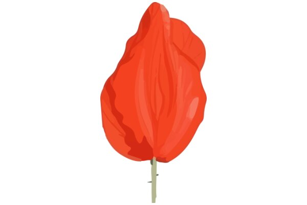 Vivid Red Flower with a Green Stem