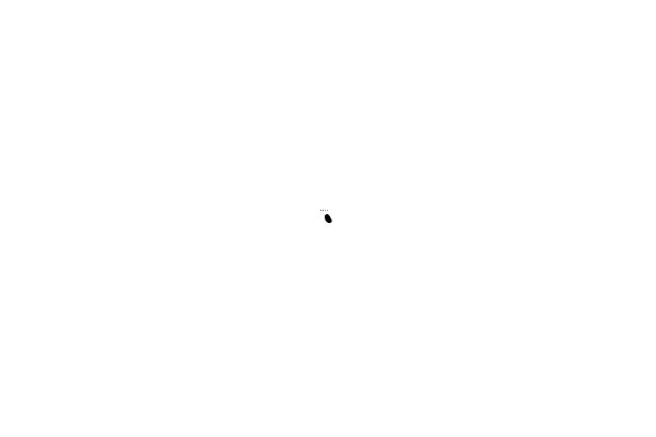A Black Spot on a White Background