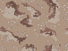 Camouflage Pattern with Speckles and Dots