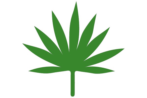 Marijuana Leaf Symbol