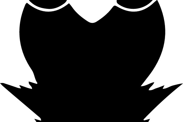 Elegant Gothic Hat