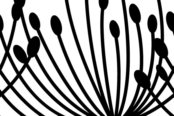 Artwork: A Symphony of Circles and Spirals