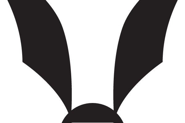 Quidditch Logo