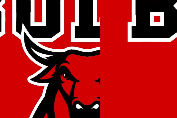 Chicago Bulls Logo