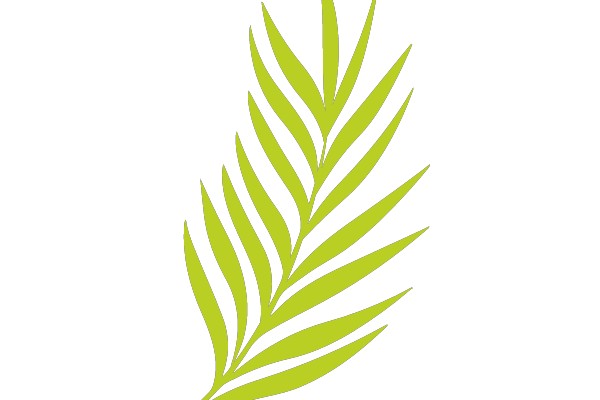 Simplified Green Palm Leaf Silhouette
