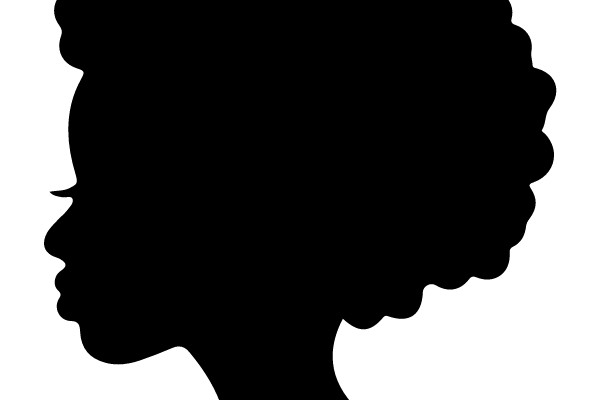 Silhouette of an Afro