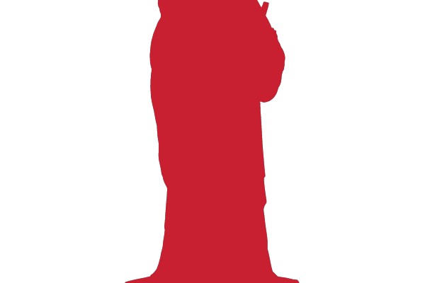 Statue of Liberty silhouette