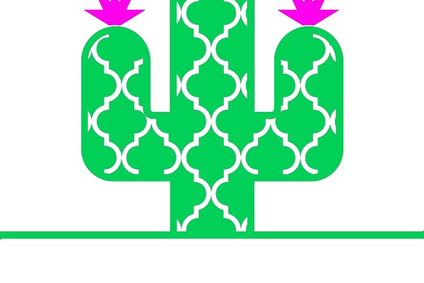 Green and White Patterned Cactus with Pink Stars