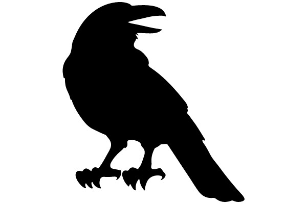 Silhouette of a Crow