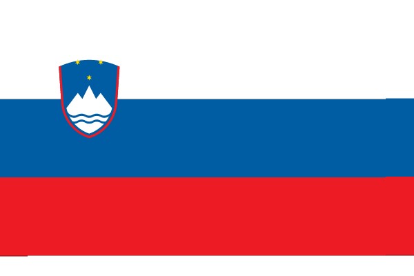 Vibrant Flag with a Blue and Red Design and a Mountain Emblem