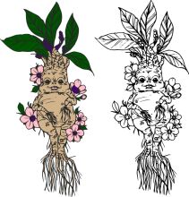 A Whimsical Tale of Two Root Vegetables: The Journey of a Gnome and a Plant