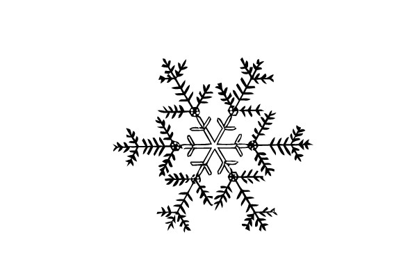 Snowflake Symmetry