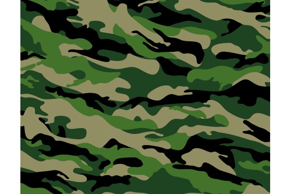 Camouflage Pattern