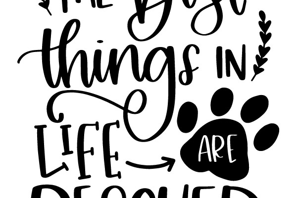 The Best Things in Life Are Rescued