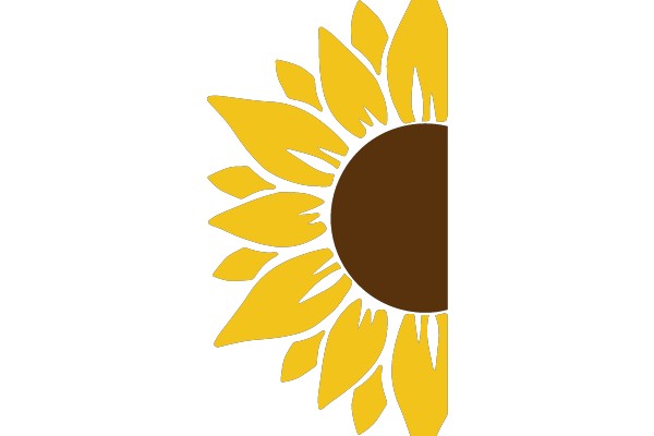 Radiant Sunflower: A Study in Contrast and Color