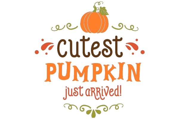 Cute Pumpkin Just Arrived!