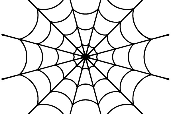 A Spooky Spider Web