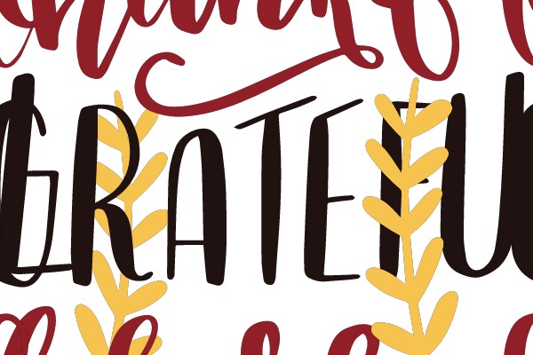 Grateful: Expressions of Thankfulness
