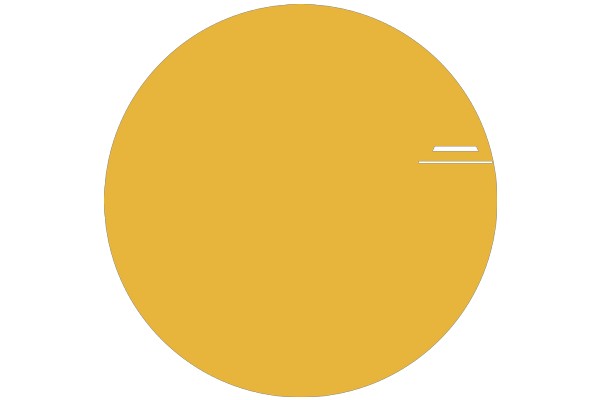 A Solid Yellow Circle