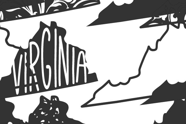 Delicate Elegance: The Art of Virginia State Pride